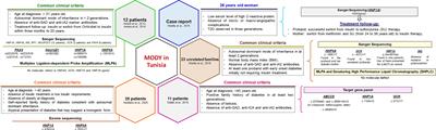 Tunisian Maturity-Onset Diabetes of the Young: A Short Review and a New Molecular and Clinical Investigation